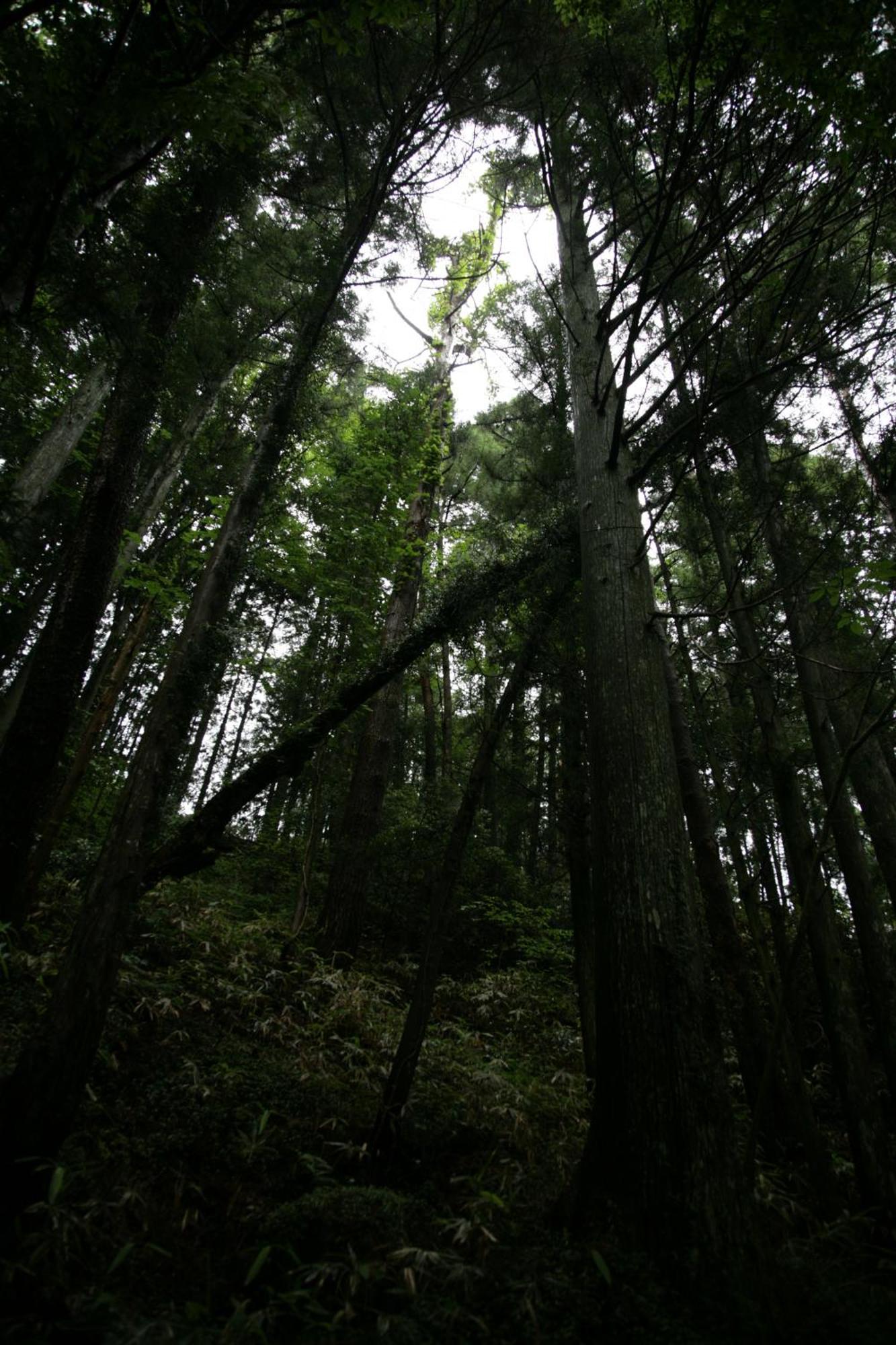 Hotel Magome Chaya à Nakatsugawa Extérieur photo