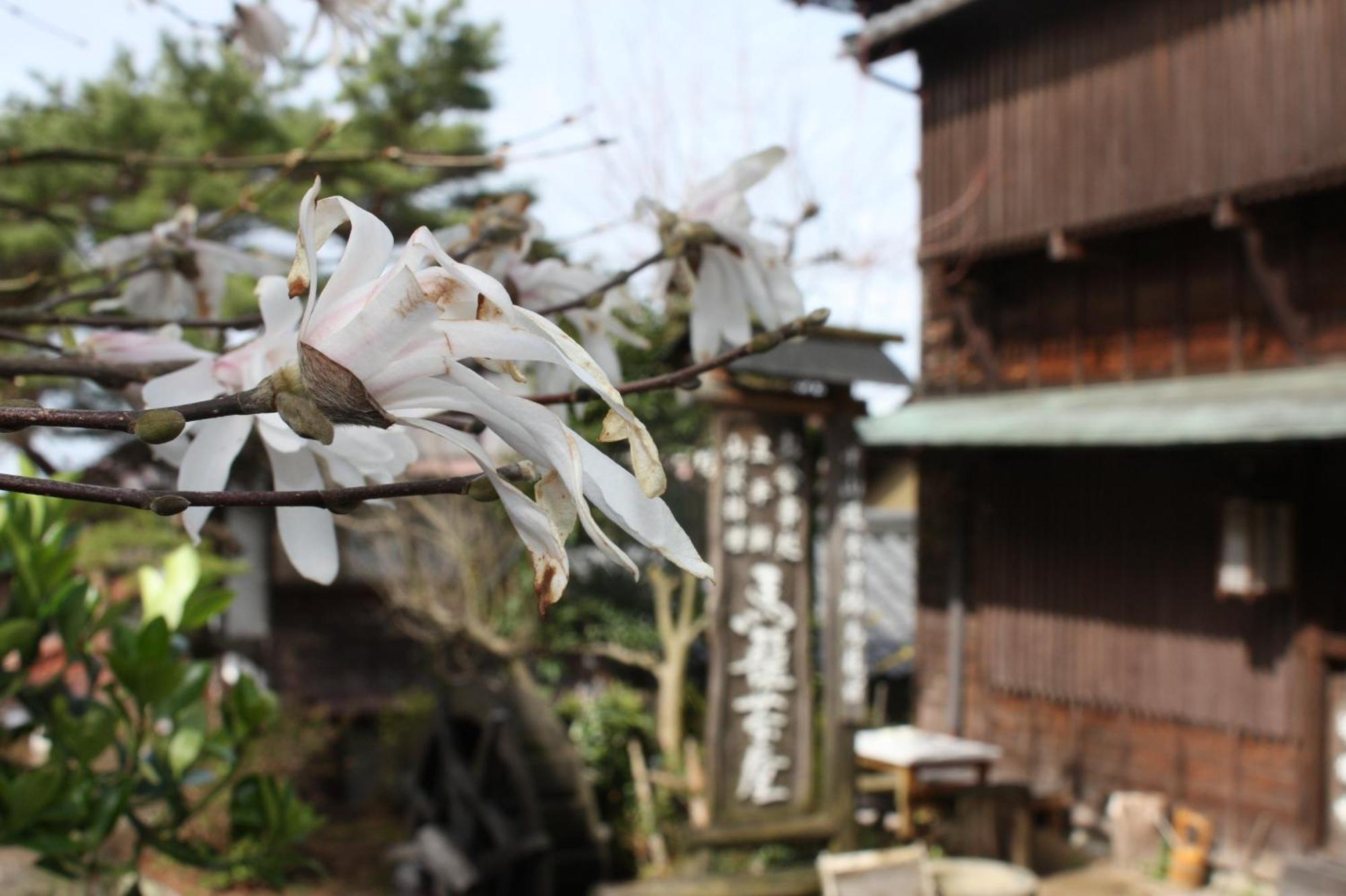 Hotel Magome Chaya à Nakatsugawa Extérieur photo