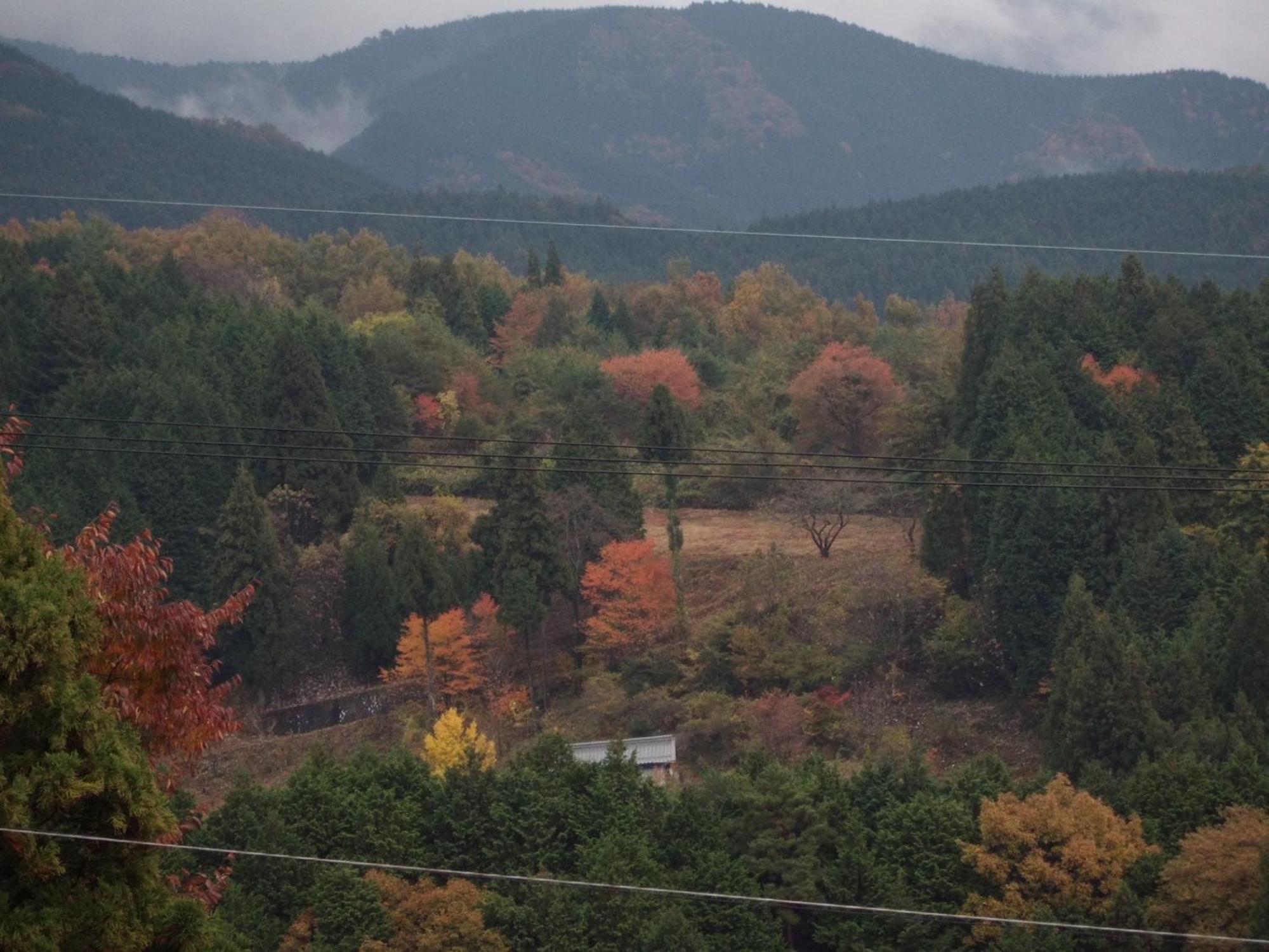Hotel Magome Chaya à Nakatsugawa Extérieur photo